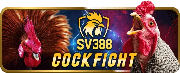 Dịch vụ chăm sóc khách hàng 24/7 của 3333win